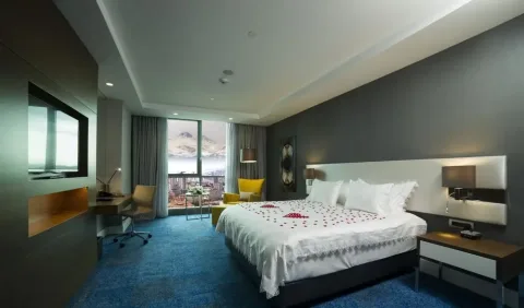 Radisson Blu Kayseri, Kayseri